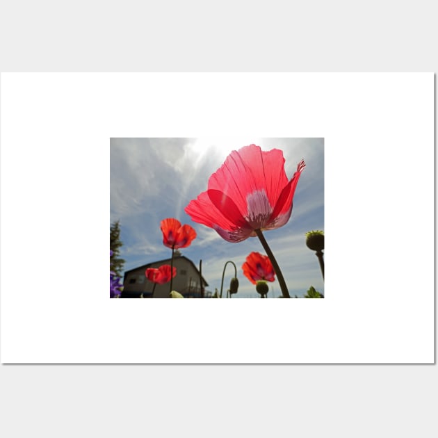 Poppies and Sky Wall Art by bobmeyers